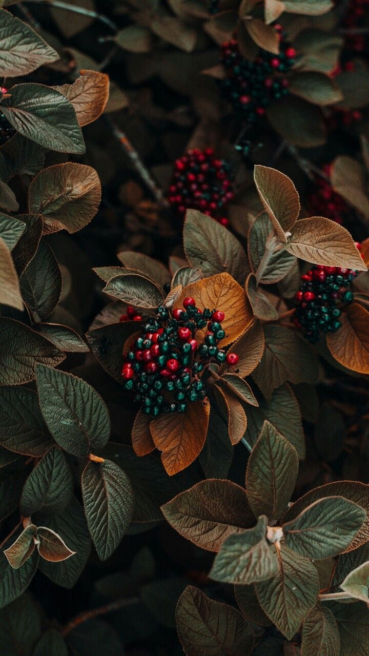 HOLIDAY FEELS