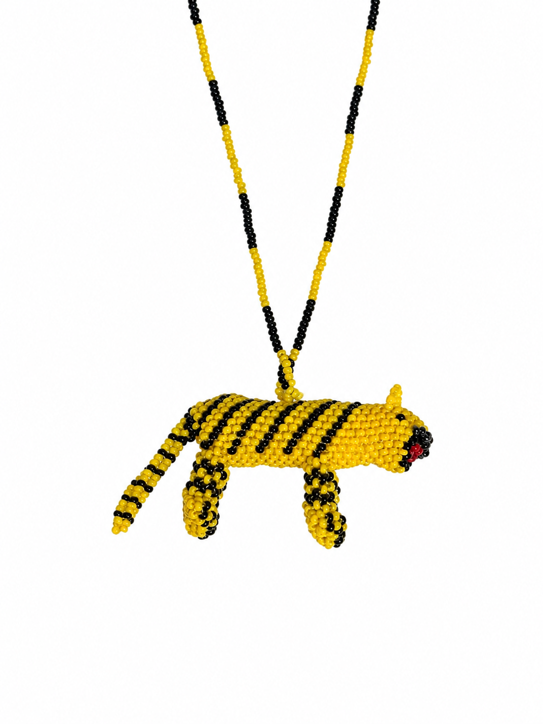 Wild Jaguar
