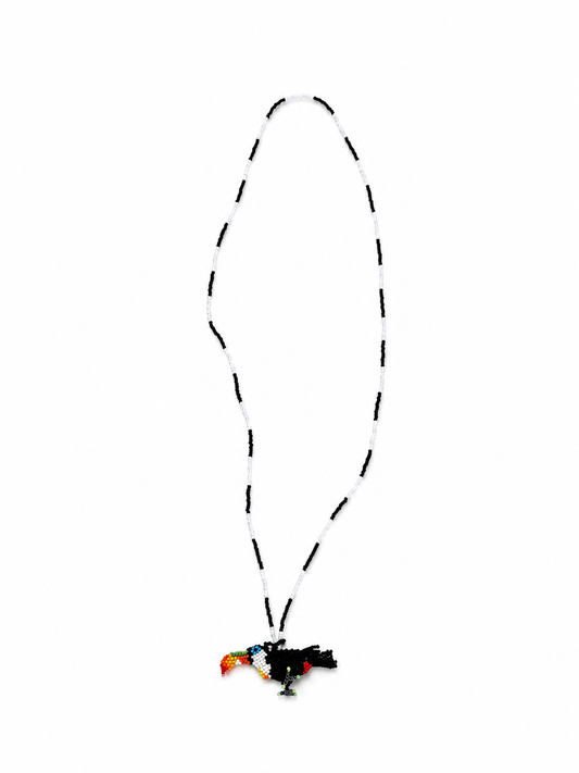 Toucan Sunrise